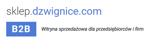 sklep.dzwignice.com